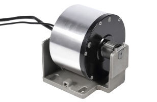 Brushless DC motor