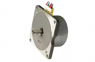 Brushless DC motor