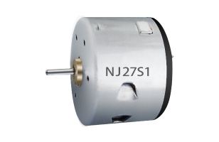 Brush DC motor