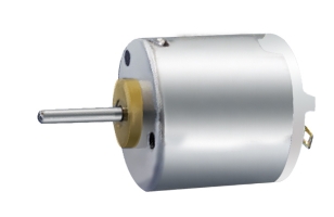 Brush DC motor