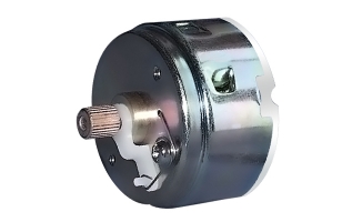 Brush DC motor