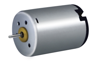 Brush DC motor