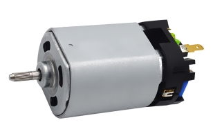 Brush DC motor