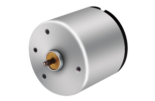 Brush DC motor