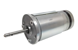 Brush DC motor