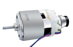 Brush DC motor