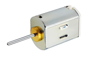 Brush DC motor