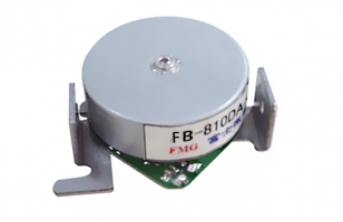 Brushless DC motor