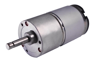 Gear box motor