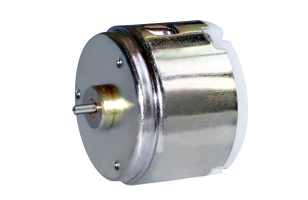 Brush DC motor