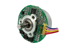 Brushless DC motor