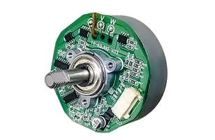 Brushless DC motor