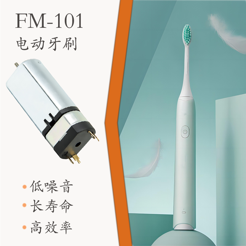 FM-101 直流有刷電機(圖1)