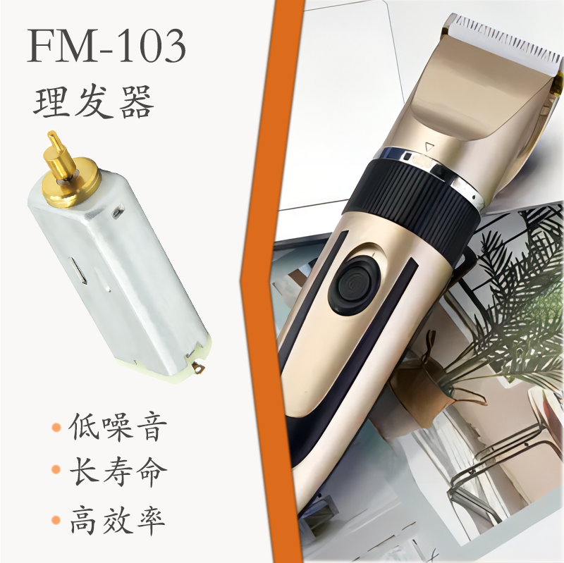 FM-103 直流有刷電機(圖1)