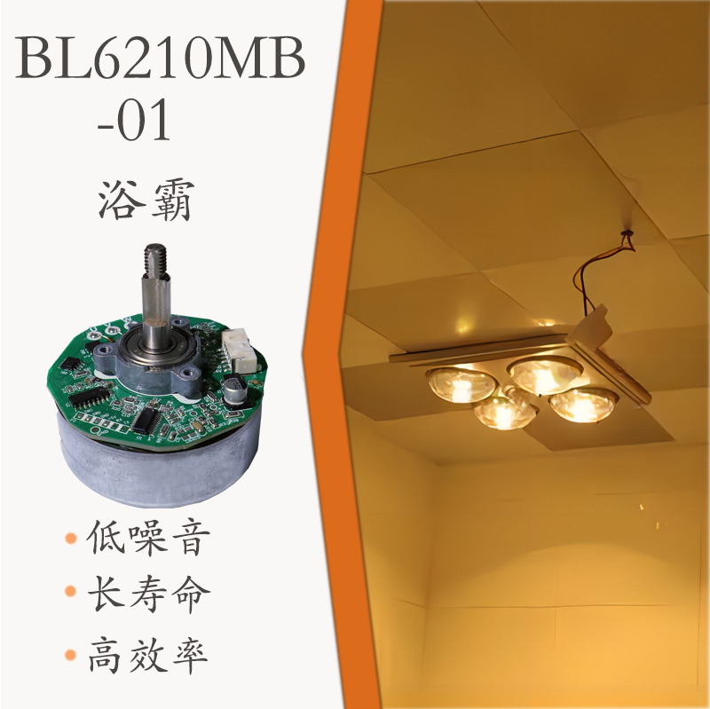 BL6210MB-01(圖1)